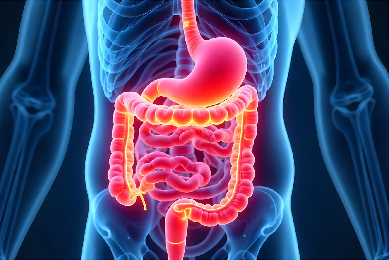 Appendix Cancer